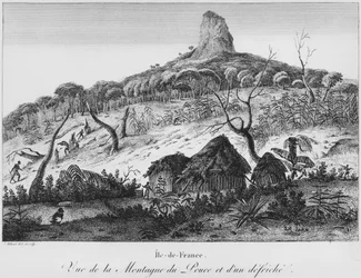 Utsikt över Pouce-berget och skogsröjningen, Mauritius, illustration från 